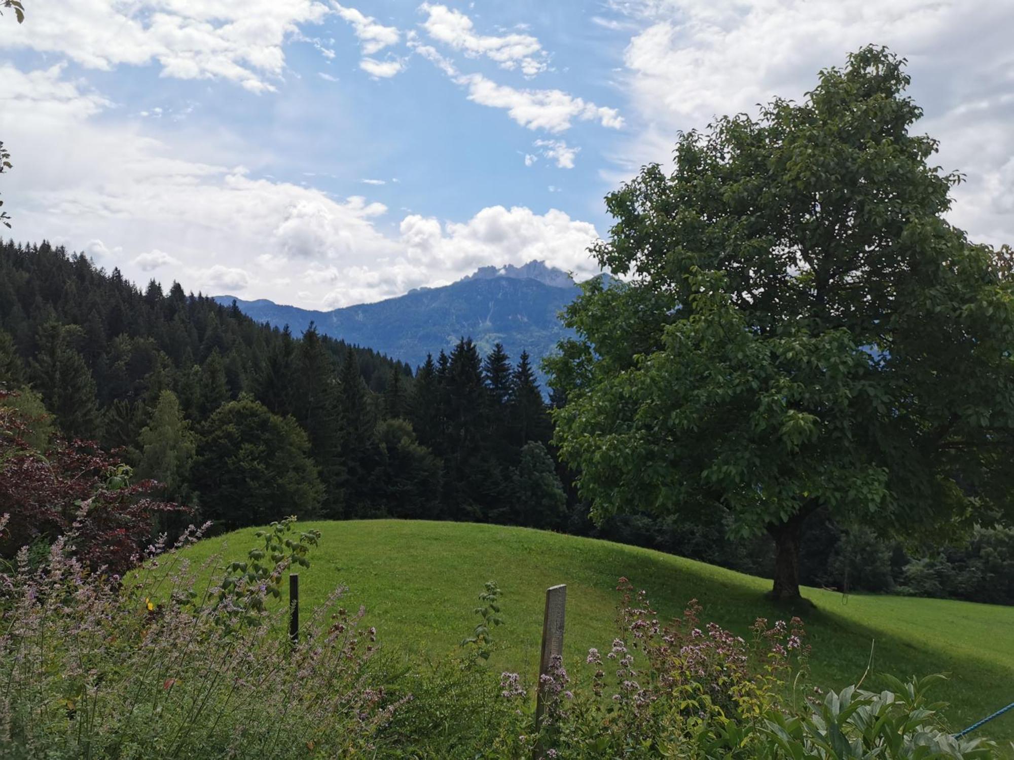 Urlaub Wie Frueher Bei Oma Hermagor-Pressegger See Zewnętrze zdjęcie