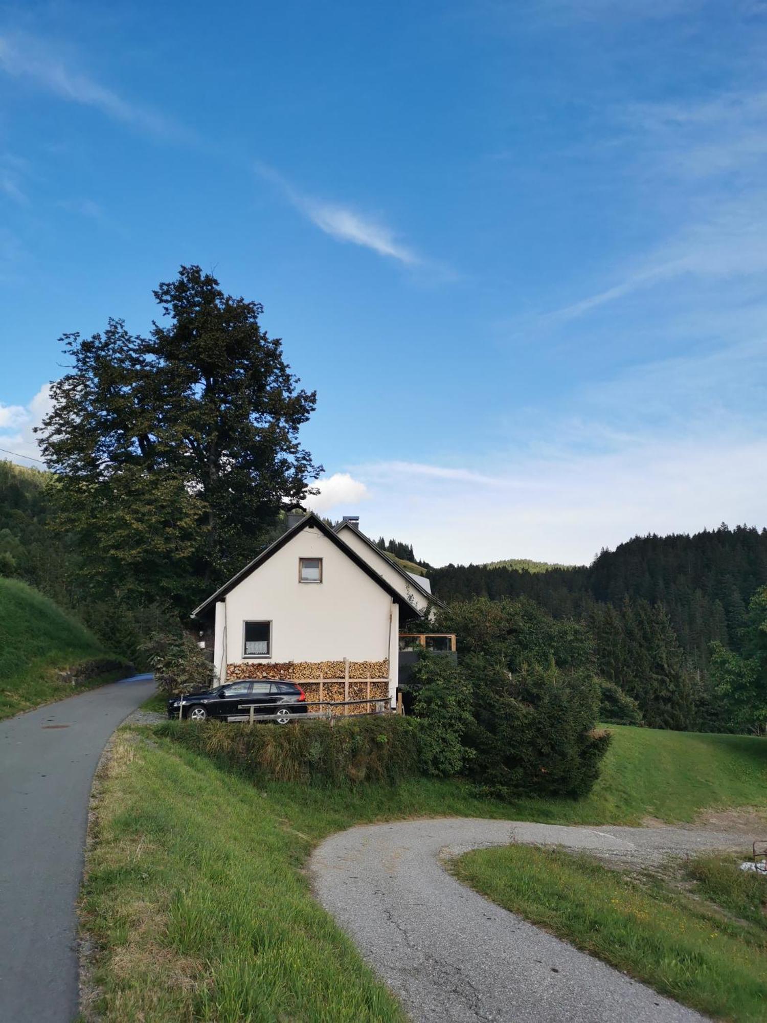 Urlaub Wie Frueher Bei Oma Hermagor-Pressegger See Zewnętrze zdjęcie